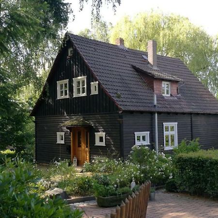 "Haus Am Knobben" Βίλα Uslar Εξωτερικό φωτογραφία