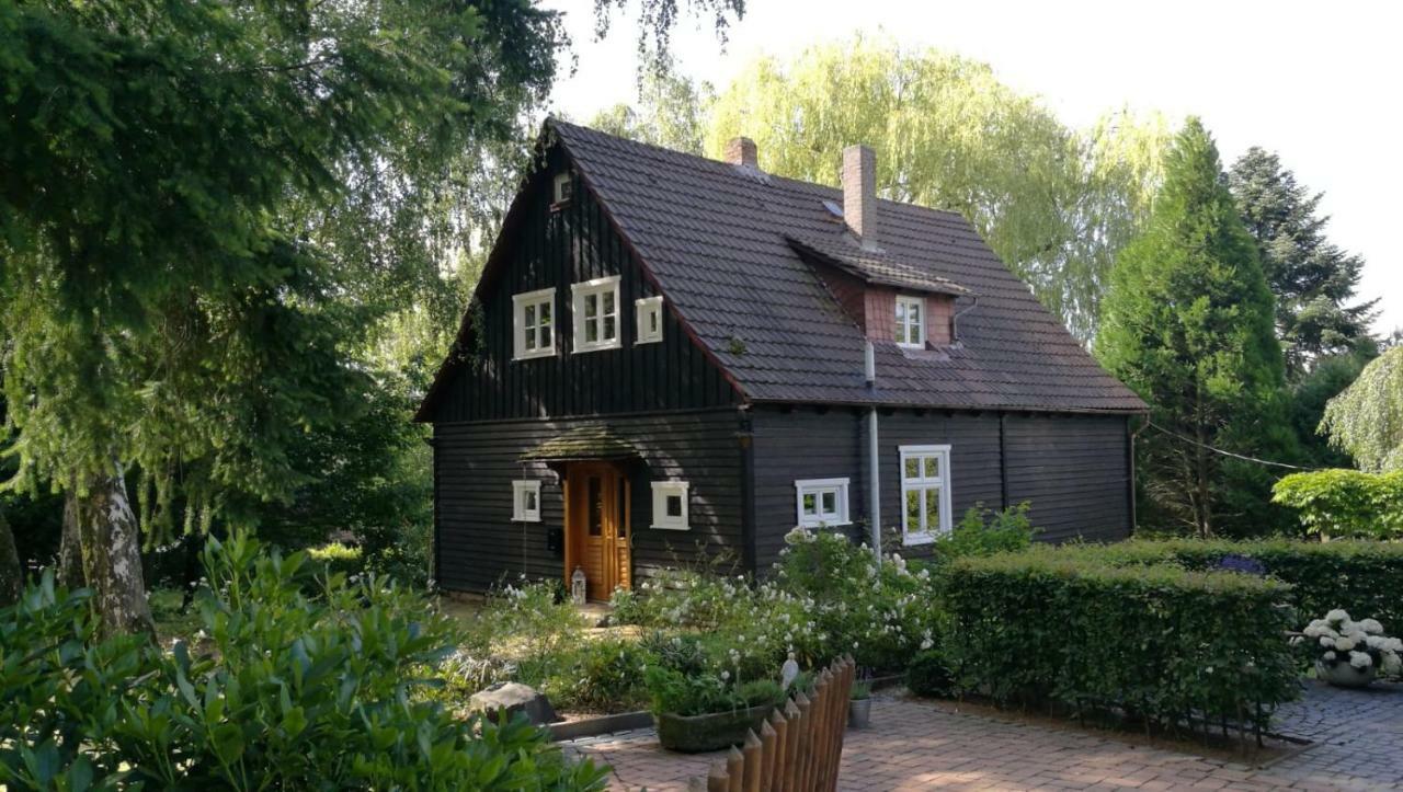 "Haus Am Knobben" Βίλα Uslar Εξωτερικό φωτογραφία