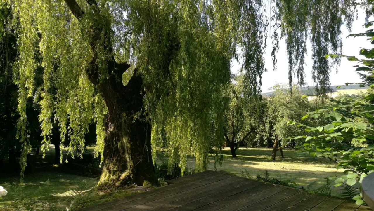 "Haus Am Knobben" Βίλα Uslar Εξωτερικό φωτογραφία