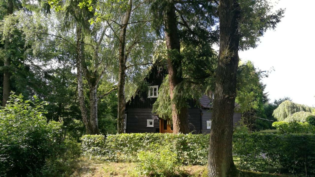 "Haus Am Knobben" Βίλα Uslar Εξωτερικό φωτογραφία