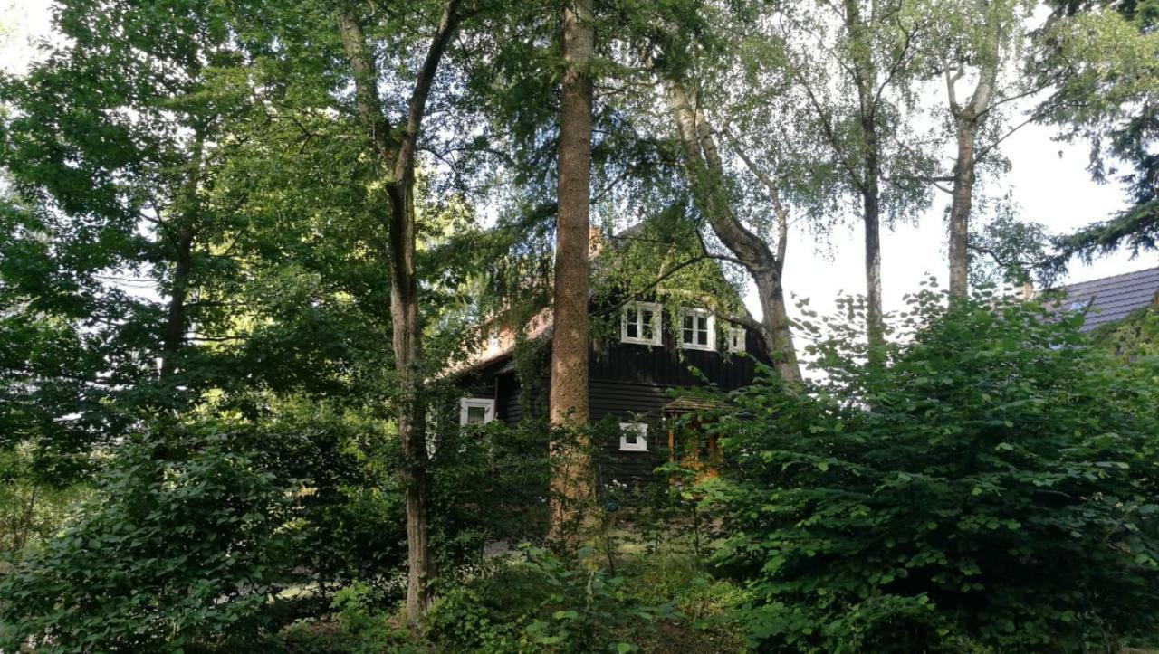 "Haus Am Knobben" Βίλα Uslar Εξωτερικό φωτογραφία